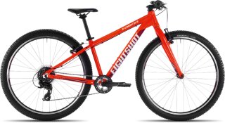 PUKY Fahrrad X-COADY 275 SL (2020) in verschiedenen Farben